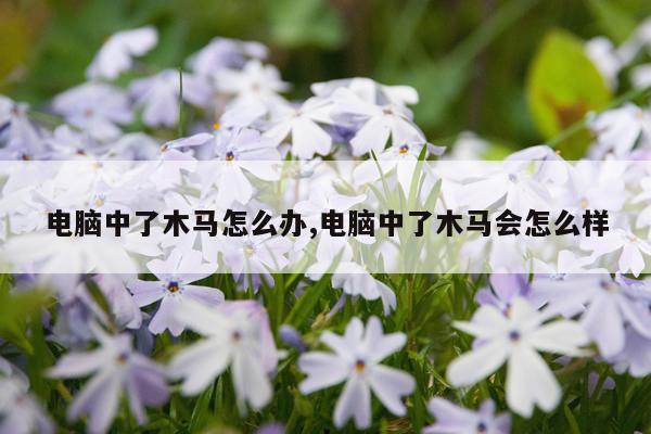 电脑中了木马怎么办,电脑中了木马会怎么样