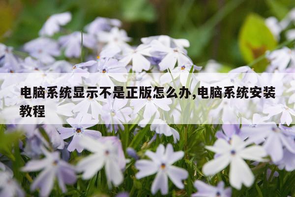电脑系统显示不是正版怎么办,电脑系统安装教程