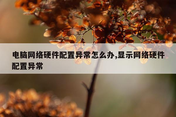 电脑网络硬件配置异常怎么办,显示网络硬件配置异常