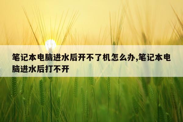 笔记本电脑进水后开不了机怎么办,笔记本电脑进水后打不开