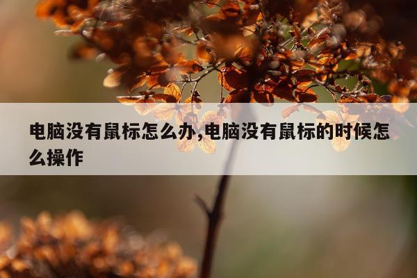 电脑没有鼠标怎么办,电脑没有鼠标的时候怎么操作