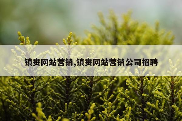 镇赉网站营销,镇赉网站营销公司招聘