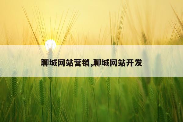 聊城网站营销,聊城网站开发