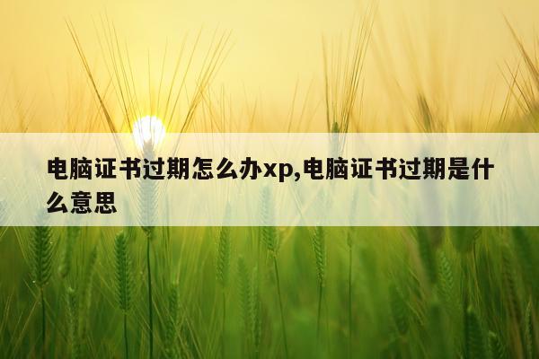 电脑证书过期怎么办xp,电脑证书过期是什么意思