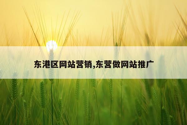 东港区网站营销,东营做网站推广