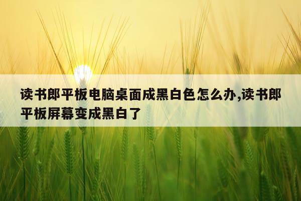 读书郎平板电脑桌面成黑白色怎么办,读书郎平板屏幕变成黑白了