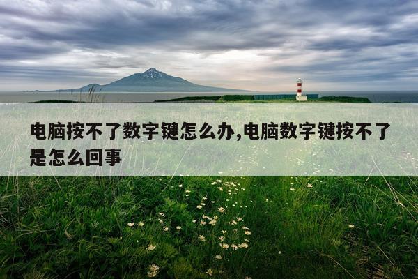 电脑按不了数字键怎么办,电脑数字键按不了是怎么回事