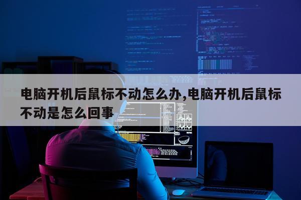 电脑开机后鼠标不动怎么办,电脑开机后鼠标不动是怎么回事