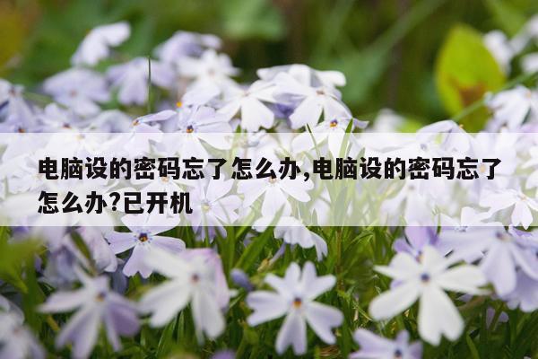电脑设的密码忘了怎么办,电脑设的密码忘了怎么办?已开机