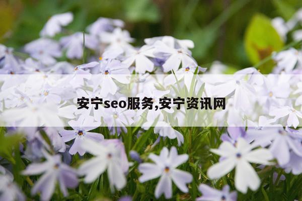 安宁seo服务,安宁资讯网