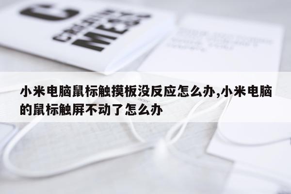 小米电脑鼠标触摸板没反应怎么办,小米电脑的鼠标触屏不动了怎么办