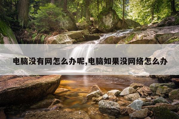 电脑没有网怎么办呢,电脑如果没网络怎么办