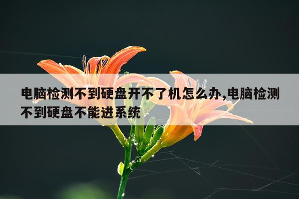 电脑检测不到硬盘开不了机怎么办,电脑检测不到硬盘不能进系统