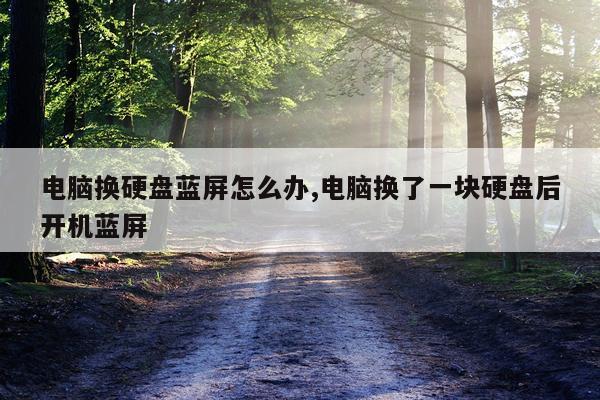 电脑换硬盘蓝屏怎么办,电脑换了一块硬盘后开机蓝屏