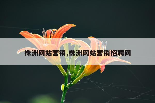 株洲网站营销,株洲网站营销招聘网
