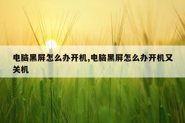 电脑黑屏怎么办开机,电脑黑屏怎么办开机又关机