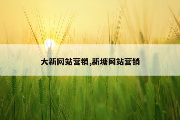 大新网站营销,新塘网站营销