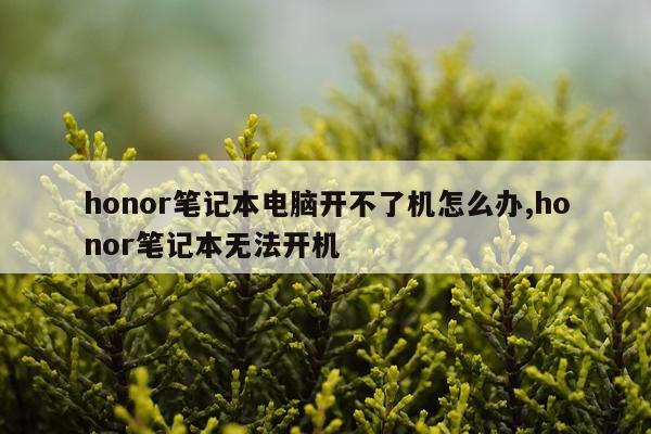 honor笔记本电脑开不了机怎么办,honor笔记本无法开机