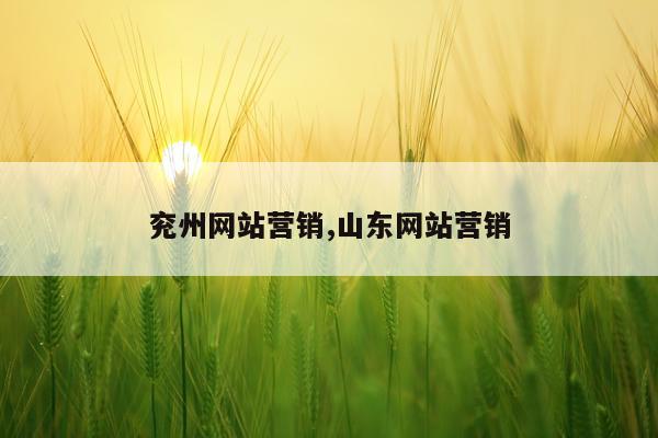 兖州网站营销,山东网站营销