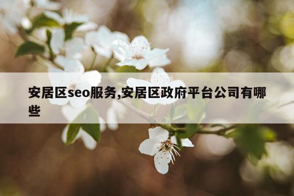 安居区seo服务,安居区政府平台公司有哪些