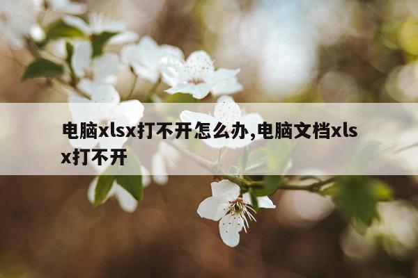 电脑xlsx打不开怎么办,电脑文档xlsx打不开