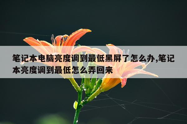笔记本电脑亮度调到最低黑屏了怎么办,笔记本亮度调到最低怎么弄回来