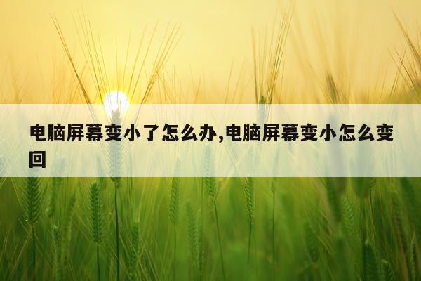 电脑屏幕变小了怎么办,电脑屏幕变小怎么变回