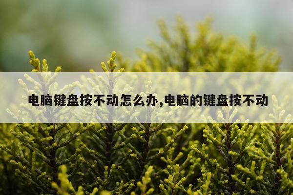 电脑键盘按不动怎么办,电脑的键盘按不动