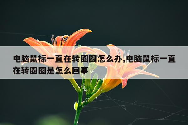 电脑鼠标一直在转圈圈怎么办,电脑鼠标一直在转圈圈是怎么回事