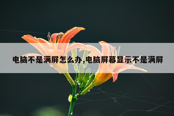 电脑不是满屏怎么办,电脑屏幕显示不是满屏
