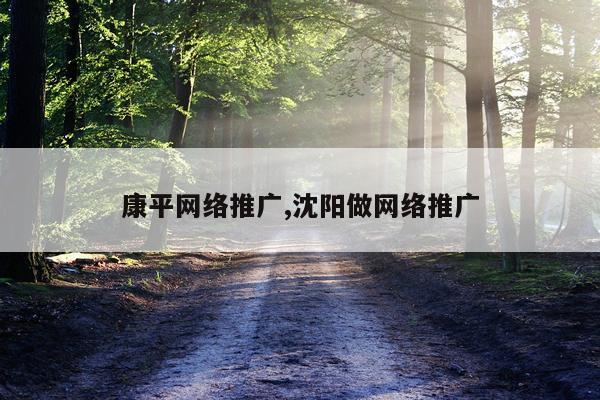 康平网络推广,沈阳做网络推广