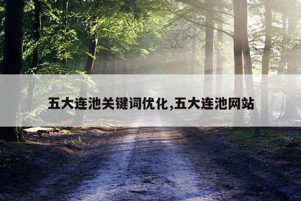 五大连池关键词优化,五大连池网站