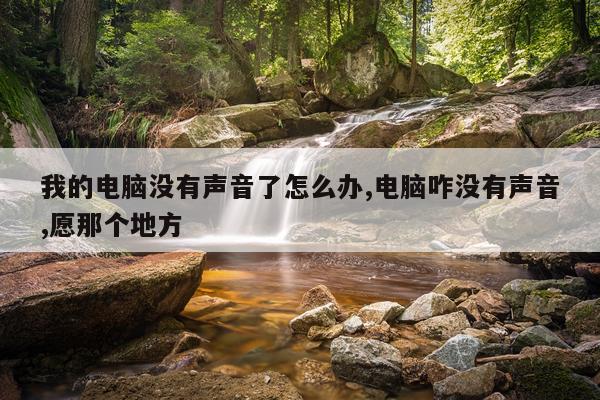 我的电脑没有声音了怎么办,电脑咋没有声音,愿那个地方