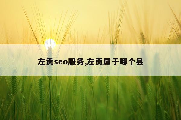 左贡seo服务,左贡属于哪个县