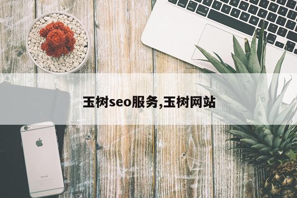 玉树seo服务,玉树网站