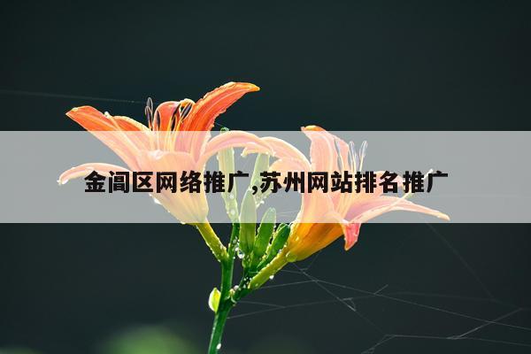 金阊区网络推广,苏州网站排名推广