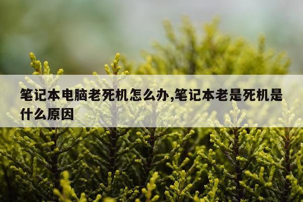 笔记本电脑老死机怎么办,笔记本老是死机是什么原因