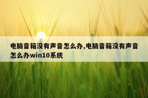 电脑音箱没有声音怎么办,电脑音箱没有声音怎么办win10系统