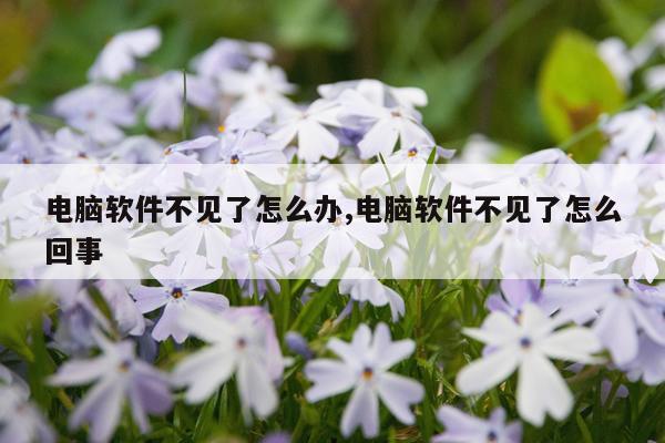 电脑软件不见了怎么办,电脑软件不见了怎么回事