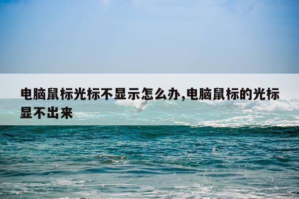 电脑鼠标光标不显示怎么办,电脑鼠标的光标显不出来