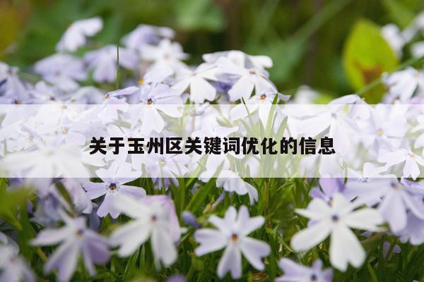 关于玉州区关键词优化的信息