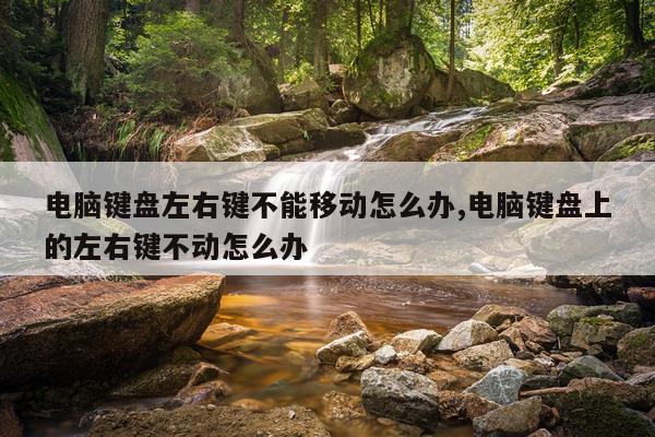 电脑键盘左右键不能移动怎么办,电脑键盘上的左右键不动怎么办
