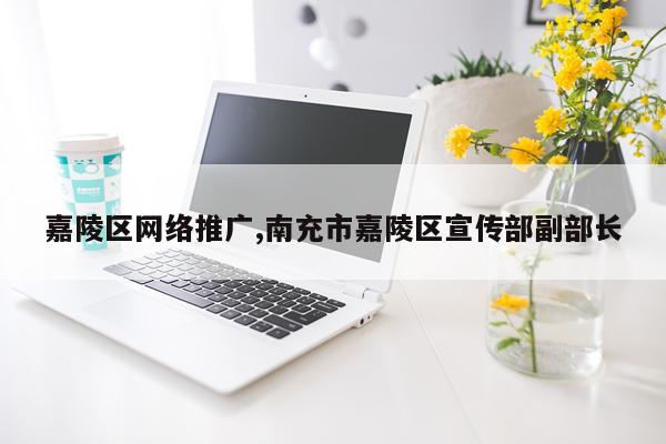 嘉陵区网络推广,南充市嘉陵区宣传部副部长