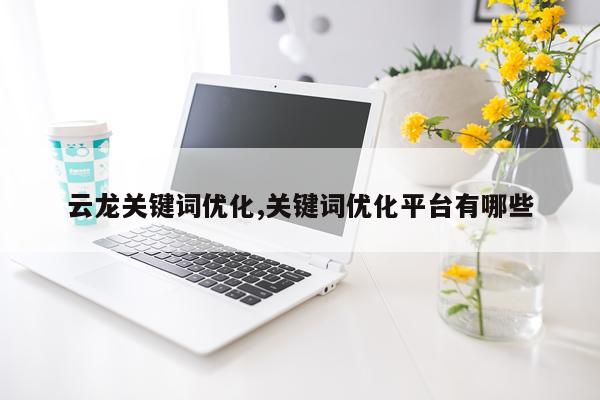 云龙关键词优化,关键词优化平台有哪些
