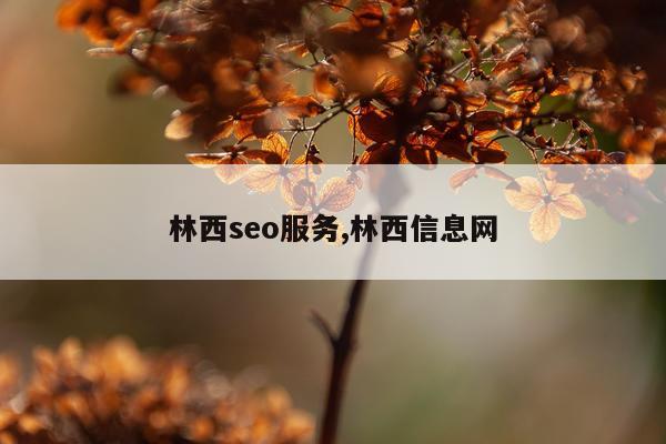 林西seo服务,林西信息网