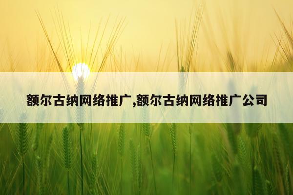 额尔古纳网络推广,额尔古纳网络推广公司