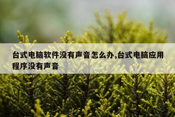 台式电脑软件没有声音怎么办,台式电脑应用程序没有声音