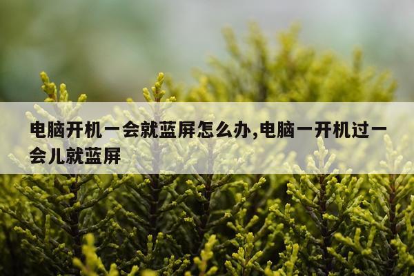电脑开机一会就蓝屏怎么办,电脑一开机过一会儿就蓝屏