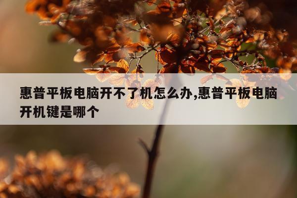 惠普平板电脑开不了机怎么办,惠普平板电脑开机键是哪个