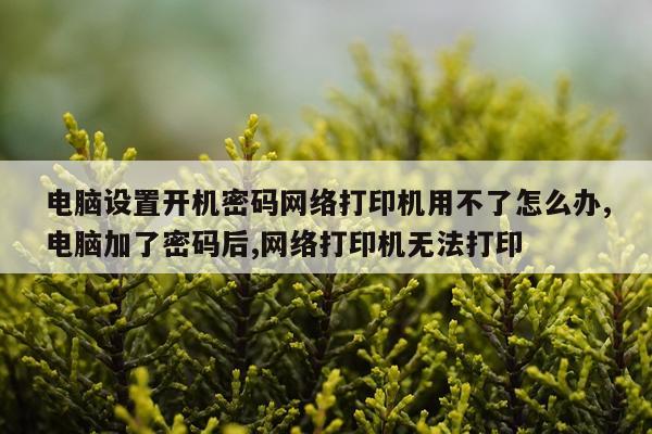 电脑设置开机密码网络打印机用不了怎么办,电脑加了密码后,网络打印机无法打印